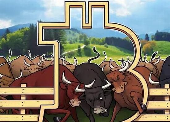 如何在派币钱包中重置钱包密码：详细教程